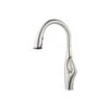 Kai Single-Handle Pull-Down Sprayer Kitchen Faucet In Stainless Steel