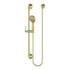 Pfister Rhen Brushed Gold 1-Spray Handheld Shower 1.8-GPM (6.8-LPM)
