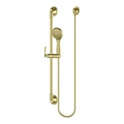 Pfister Rhen Brushed Gold 1-Spray Handheld Shower 1.8-GPM (6.8-LPM)