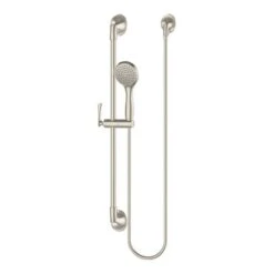 Pfister Rhen Brushed Gold 1-Spray Handheld Shower 1.8-GPM (6.8-LPM) -Allied Brass Shop 038877637265xl 1800x1800