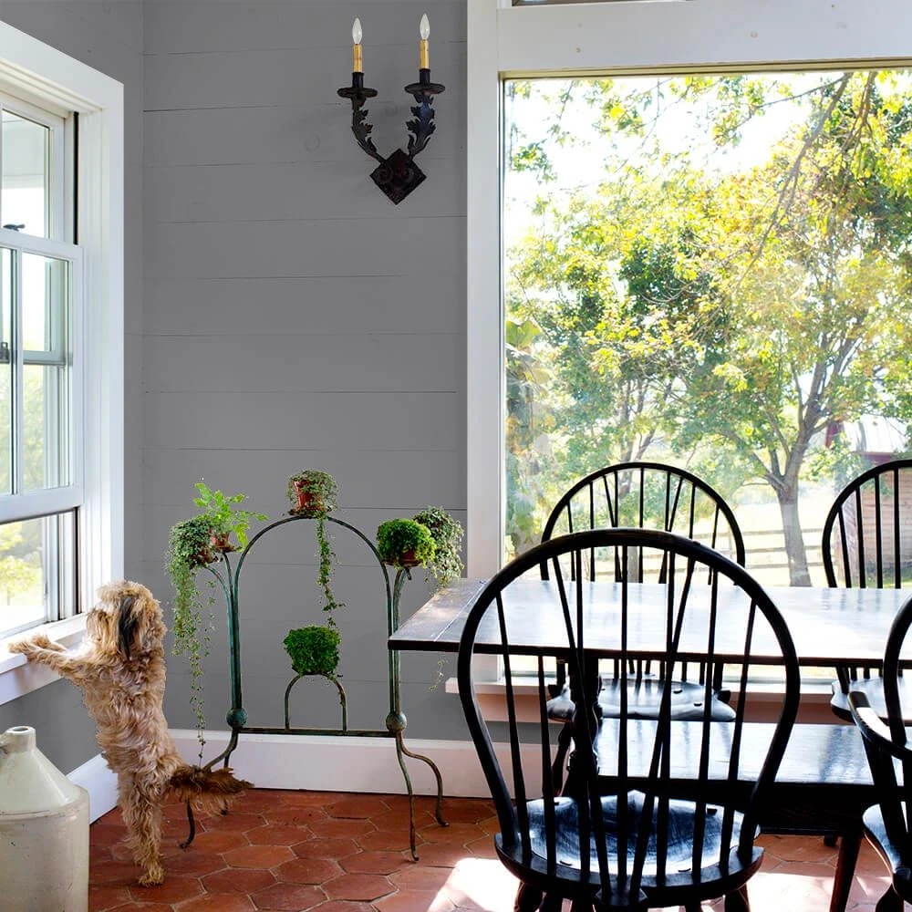 ColorPlace ULTRA Interior Paint & Primer, Elegant Charcoal, Semi-Gloss, 1 Gallon 3 ColorPlace ULTRA Interior Paint & Primer, Elegant Charcoal, Semi-Gloss, 1 Gallon - Image 3