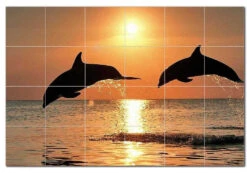 Dolphin Ceramic Tile Mural Kitchen Backsplash Bathroom Shower, 402794-XL64