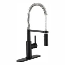 Statham Single-Handle Coil Spring Neck Kitchen Faucet With TurboSpray And FastMount In Stainless Steel -Allied Brass Shop 1b2a0a0725ea764370afcc5095575b43 1800x1800