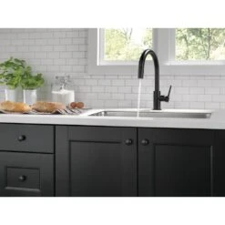Trinsic Single-Handle Pull-Down Sprayer Kitchen Faucet With MagnaTite Docking In Matte Black -Allied Brass Shop 2048c30d60600ef3eab9cc43b97f94e7 1800x1800