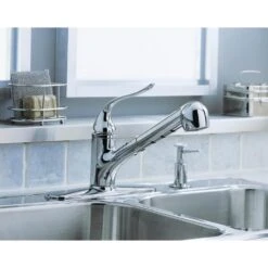 Coralais Single-Handle Pull-Out Sprayer Kitchen Faucet With MasterClean Sprayface In Polished Chrome -Allied Brass Shop 44a770edc38eecb32ccf5026cdebadf2 1800x1800