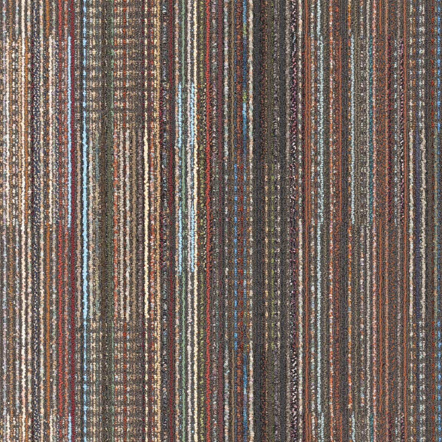 Queensferry 24" X 24" (72SF/carton) Carpet Tile In BLACK VELVET 6 Queensferry 24" X 24" (72SF/carton) Carpet Tile In BLACK VELVET - Image 6