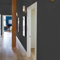 ColorPlace ULTRA Interior Paint & Primer, Onyx Black, Flat, 1 Gallon 15 ColorPlace ULTRA Interior Paint & Primer, Onyx Black, Flat, 1 Gallon -Allied Brass Shop a5fc47e2 79b2 41a5 8a0d fe29f0ecbab1.83b02430d358274c1d4d3caa9be68c7c 1800x1800