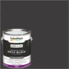 ColorPlace Pre Mixed Ready To Use, Interior Paint, Onyx Black, Semi-Gloss Finish, 1 Gallon