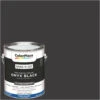 ColorPlace Pre Mixed Ready To Use, Interior Paint, Onyx Black,Semi-Gloss Finish, 1 Gallon