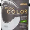 Gravity, Rust-Oleum Studio Color Exterior Paint + Primer, Flat Finish, 2-Pack