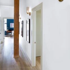 ColorPlace ULTRA Interior Paint & Primer, Cloud Motif Grey, Semi-Gloss, 1 Gallon -Allied Brass Shop bc8fc602 1a89 4725 9aeb 414d673a62c2.436a9d434e9567cfe33bcbc7499cadd0 1800x1800