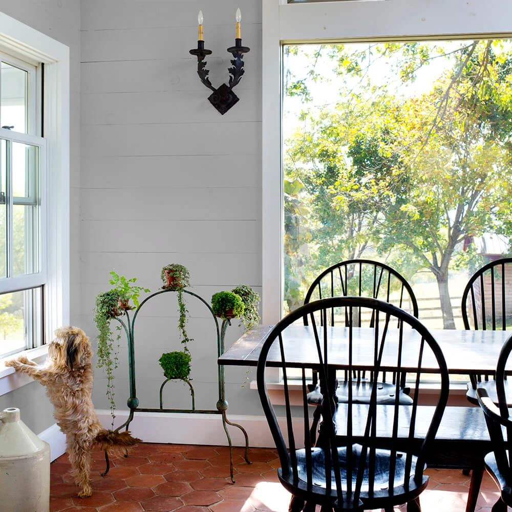 ColorPlace ULTRA Interior Paint & Primer, Granite Gray, Semi-Gloss, 1 Gallon 3 ColorPlace ULTRA Interior Paint & Primer, Granite Gray, Semi-Gloss, 1 Gallon - Image 3