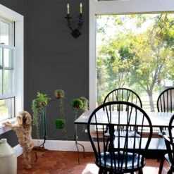 ColorPlace ULTRA Interior Paint & Primer, Onyx Black, Flat, 1 Gallon 14 ColorPlace ULTRA Interior Paint & Primer, Onyx Black, Flat, 1 Gallon -Allied Brass Shop e252cffe 8700 43f8 a55f c25b928601cd.37610b144ac54f1c1019d960e7868b09 1800x1800