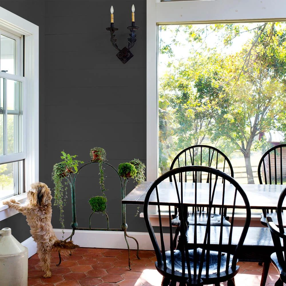 ColorPlace ULTRA Interior Paint & Primer, Onyx Black, Flat, 1 Gallon 3 ColorPlace ULTRA Interior Paint & Primer, Onyx Black, Flat, 1 Gallon - Image 3